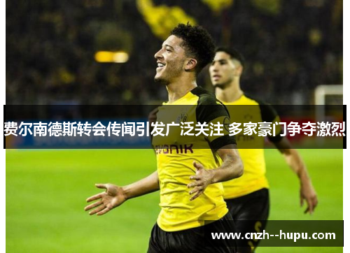 费尔南德斯转会传闻引发广泛关注 多家豪门争夺激烈