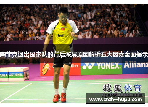 陶菲克退出国家队的背后深层原因解析五大因素全面揭示