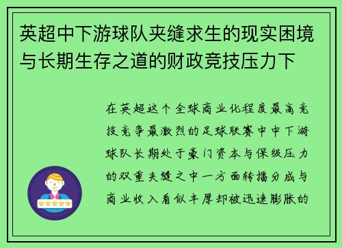 英超中下游球队夹缝求生的现实困境与长期生存之道的财政竞技压力下